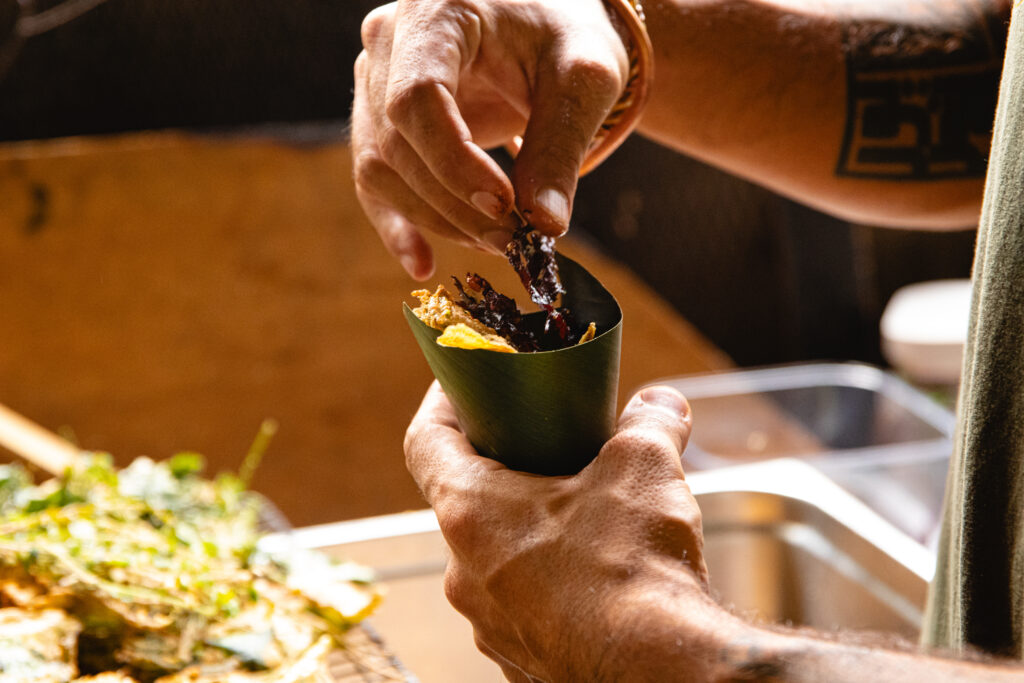 FreeUpFarm_ML_2025__IMG_2481